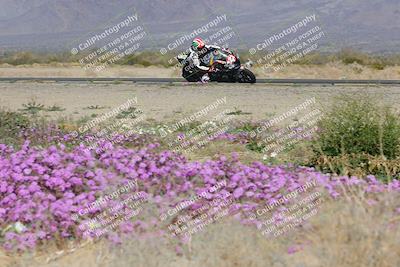 media/Feb-04-2023-SoCal Trackdays (Sat) [[8a776bf2c3]]/Turn 15 Inside Blooming (1050am)/